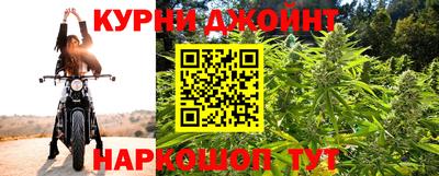ешки Новодвинск