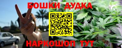 ешки Новодвинск