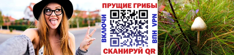 даркнет сайт  Обнинск  Псилоцибиновые грибы Cubensis 