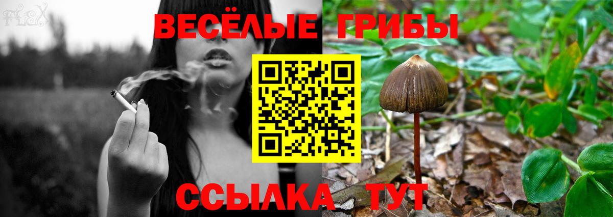 Галлюциногенные грибы Magic Shrooms Обнинск