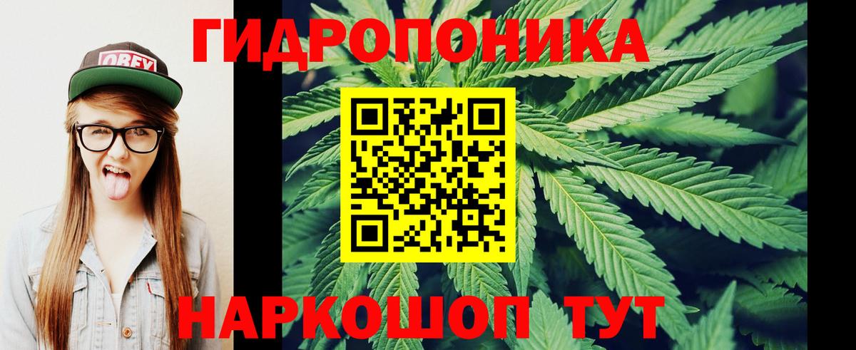 Обнинск  Каннабис план  Конопля SATIVA & INDICA  Канабис конопля  Вход с VPN  Бошки марихуана OG Kush 